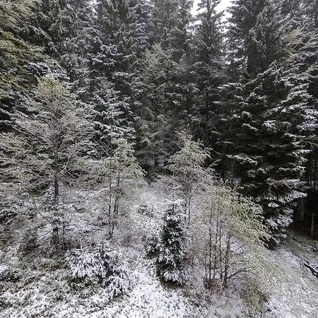 Refuge Auroisud Lägenhet